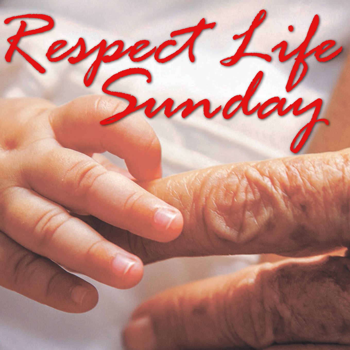 Our Lady of the Wayside Catholic Church Respect Life Sunday