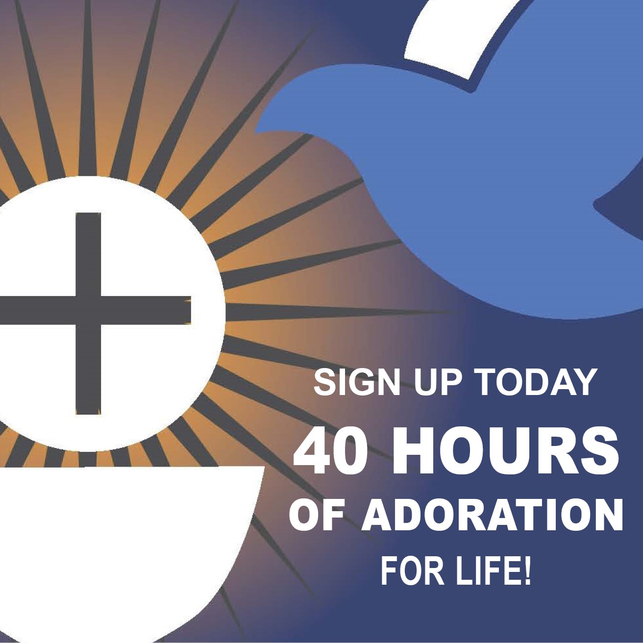 Our Lady of the Wayside Catholic Church Pray a Holy Hour for Life